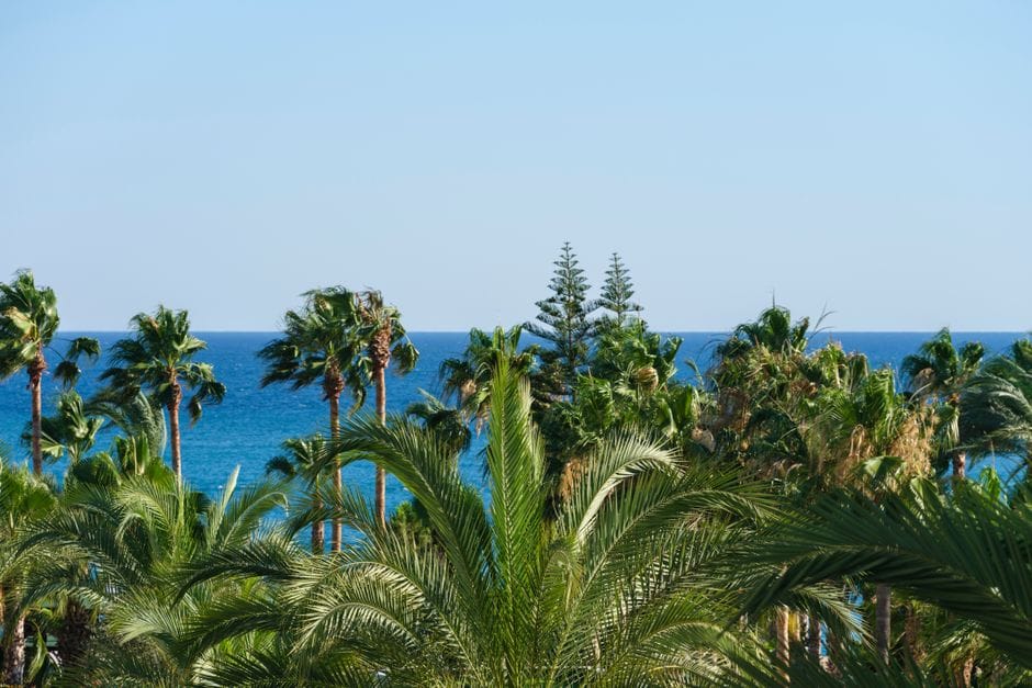 Riviera dei Fiori: la Liguria di ponente quando l'inverno finisce prima