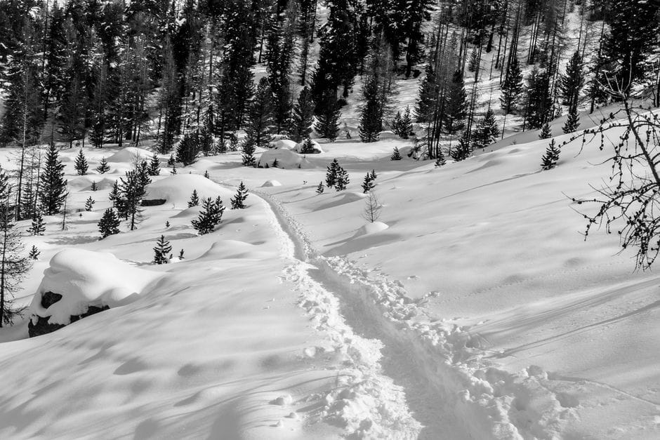 La settimana tra Natale e Capodanno: ciaspole e neve senza piste affollate