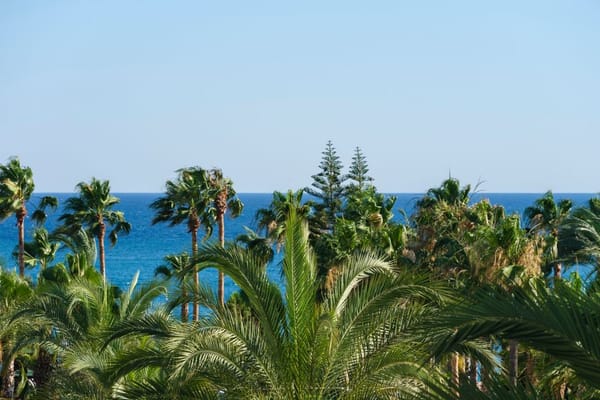Riviera dei Fiori: la Liguria di ponente quando l'inverno finisce prima