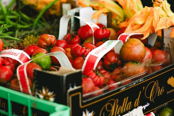 Le sagre di paese: il modo più vero (e più economico) per girare l'Italia a luglio