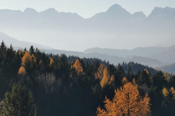 Il Parco Nazionale d'Abruzzo a settembre: nebbia, faggete e i borghi che tornano silenziosi